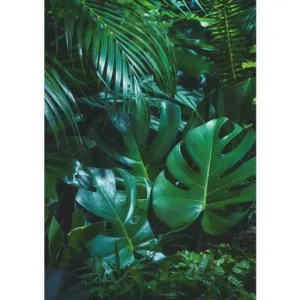 HB SPC/vinyl vízálló fali panel, Tropical Forest Leaves (2605 x 1868 mm) Vásárlói kedvenc
