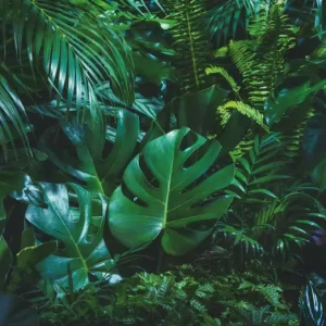 HB SPC/vinyl vízálló fali panel, Tropical Forest Leaves (2605 x 2802 mm) Olcsó