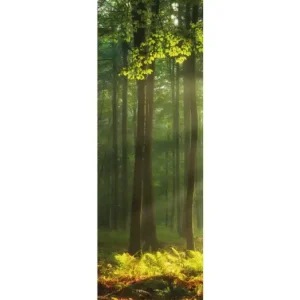 HB SPC/vinyl vízálló fali panel, Sunny Forest (2605 x 934 mm) Olcsóbb