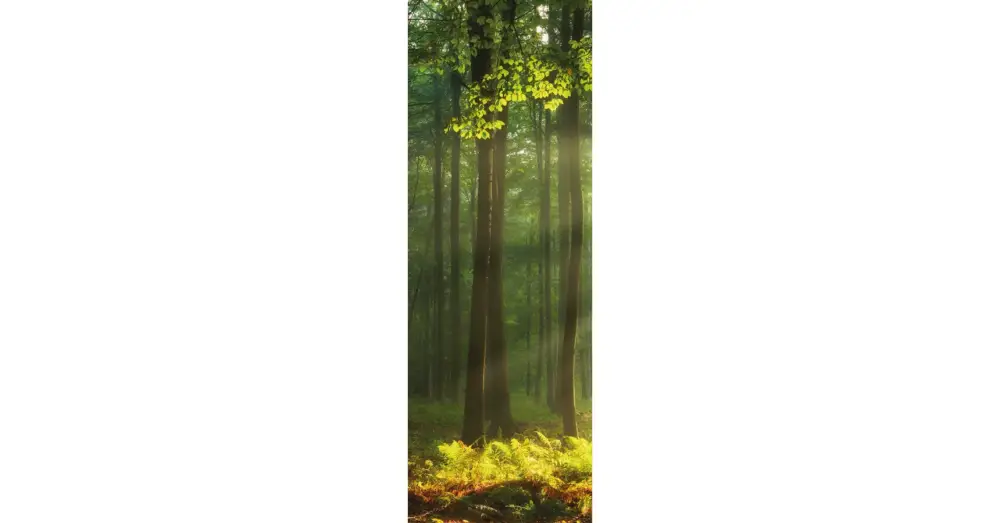 HB SPC/vinyl vízálló fali panel, Sunny Forest (2605 x 934 mm) Olcsóbb