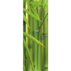 Rendeld meg most HB SPC/vinyl vízálló fali panel, Bamboo Sprouts (2605 x 934 mm)