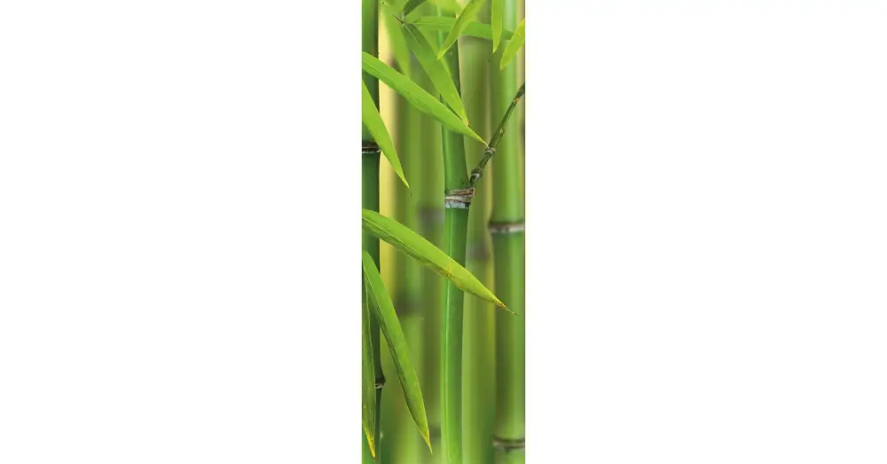 Rendeld meg most HB SPC/vinyl vízálló fali panel, Bamboo Sprouts (2605 x 934 mm)