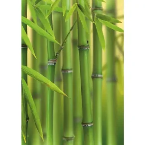 HB SPC/vinyl vízálló fali panel, Bamboo Sprouts (2605 x 1868 mm) Legnépszerűbb