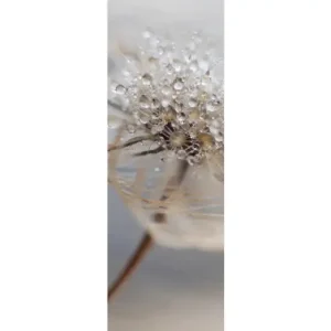 HB SPC/vinyl vízálló fali panel, Delicate Dry Grass Branch (2605 x 934 mm) Utolsó esély