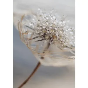 Újdonság HB SPC/vinyl vízálló fali panel, Delicate Dry Grass Branch (2605 x 1868 mm)