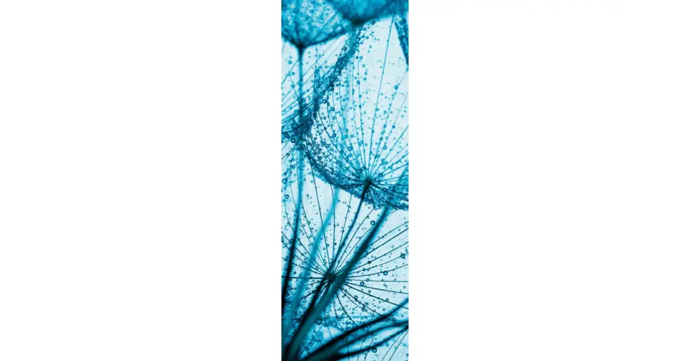 HB SPC/vinyl vízálló fali panel, Taraxamcum with Dew Drops (2605 x 934 mm) Biztonságos fizetés