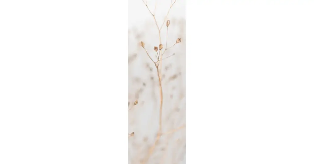 HB SPC/vinyl vízálló fali panel, Dry Grass Branches (2605 x 934 mm) Expressz kézbesítés