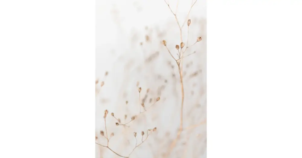 HB SPC/vinyl vízálló fali panel, Dry Grass Branches (2605 x 1868 mm) Legkelendőbb