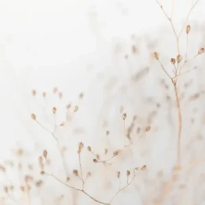 Biztonságos fizetés HB SPC/vinyl vízálló fali panel, Dry Grass Branches (2605 x 2802 mm)