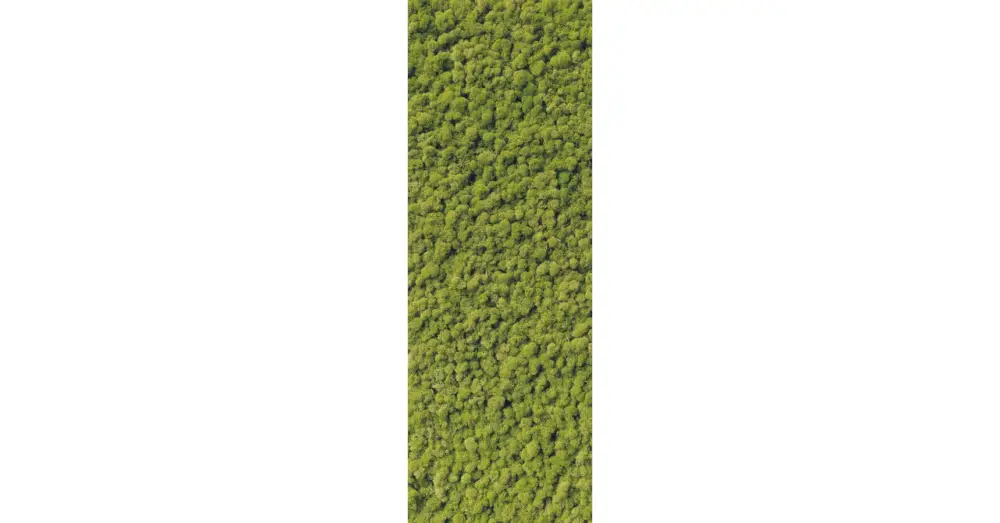 Expressz szállítás HB SPC/vinyl vízálló fali panel, Moss (2605 x 934 mm)