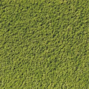 Árcsökkenés HB SPC/vinyl vízálló fali panel, Moss (2605 x 2802 mm)
