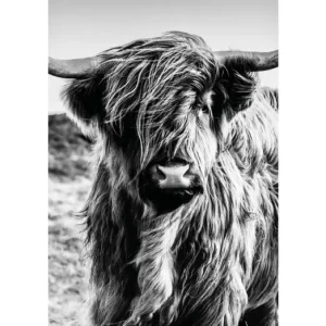 HB SPC/vinyl vízálló fali panel, Highlander (2605 x 1868 mm) Kedvezmény