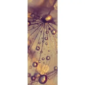 HB SPC/vinyl vízálló fali panel, Dandelion with Golden Drops (2605 x 934 mm) Árcsökkenés