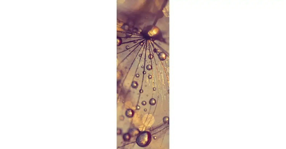 HB SPC/vinyl vízálló fali panel, Dandelion with Golden Drops (2605 x 934 mm) Árcsökkenés