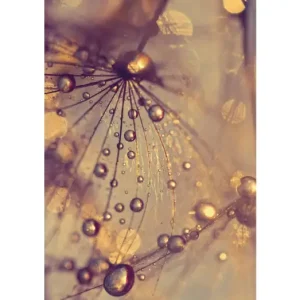 HB SPC/vinyl vízálló fali panel, Dandelion with Golden Drops (2605 x 1868 mm) Akció