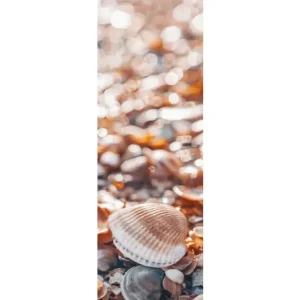 HB SPC/vinyl vízálló fali panel, Shells on the Beach (2605 x 934 mm) Azonnal elérhető