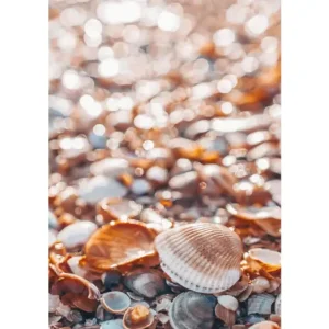 HB SPC/vinyl vízálló fali panel, Shells on the Beach (2605 x 1868 mm) Népszerű