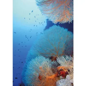 HB SPC/vinyl vízálló fali panel, Red Sea Coral (2605 x 1868 mm) Szezonális akció