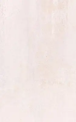 Expressz szállítás ZALAKERÁMIA ZBD42078 EIFFEL BEIGE CSEMPE 25X40 CM