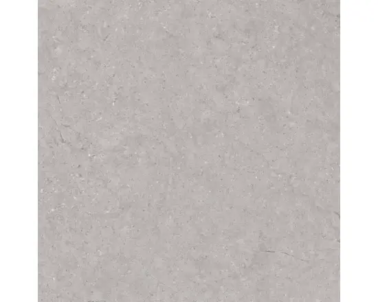 Prémium ARGENTA DUAL GREY RC PADLÓLAP 60X60 CM 1.44 M2/DZ
